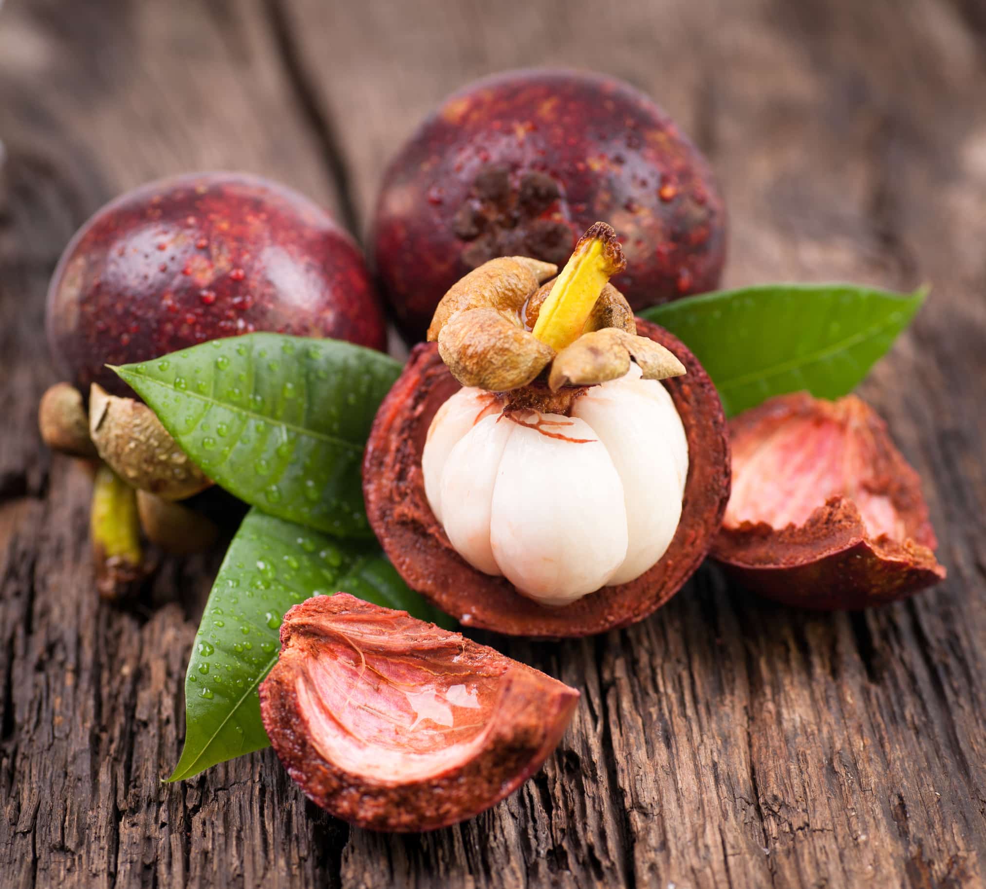 Garcinia mangostana pericarp extract