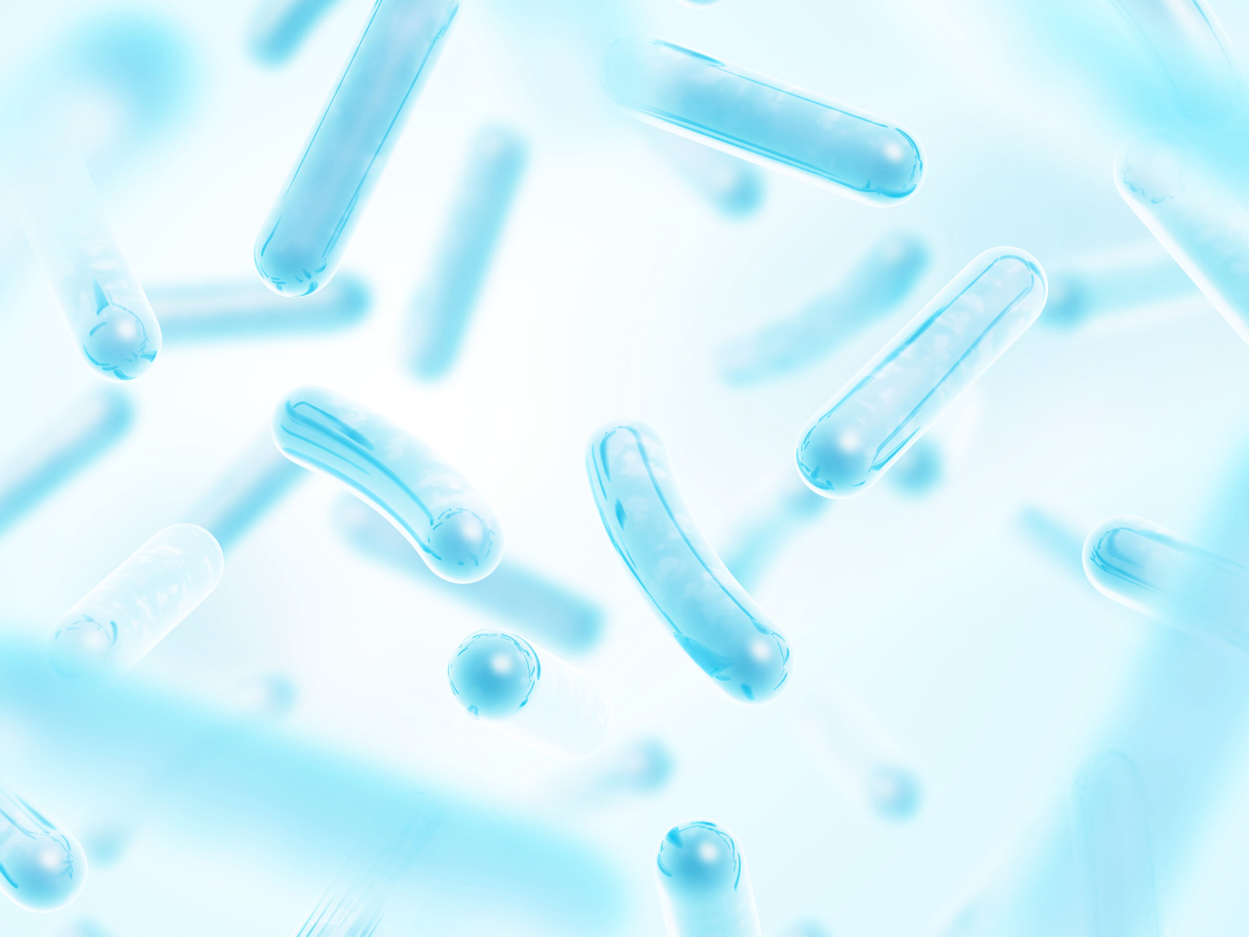 Lactobacillus rhamnosus probiotic strain