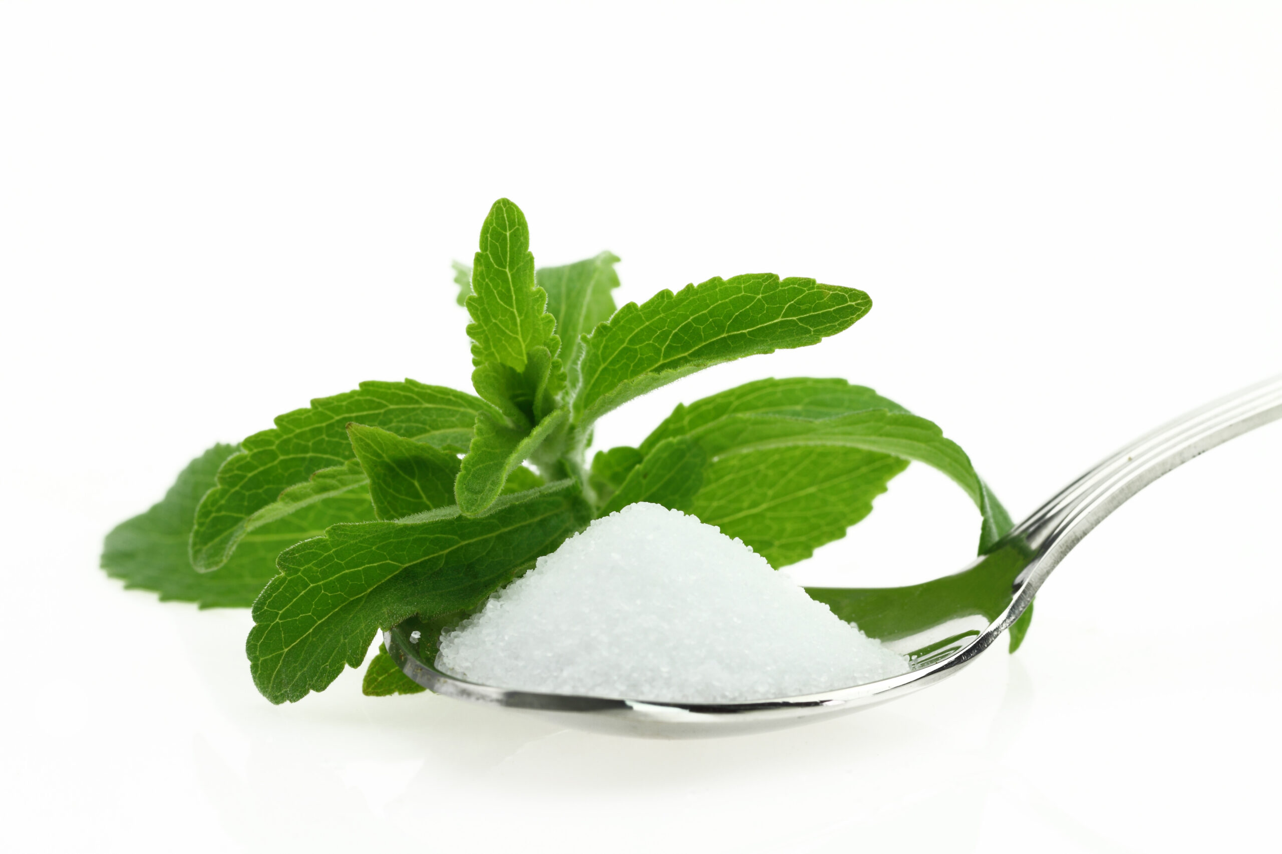 Stevia leaf extract
